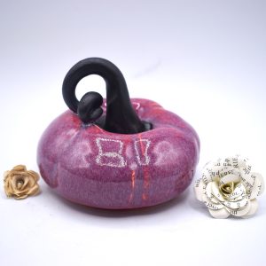 Pink mini pumpkin